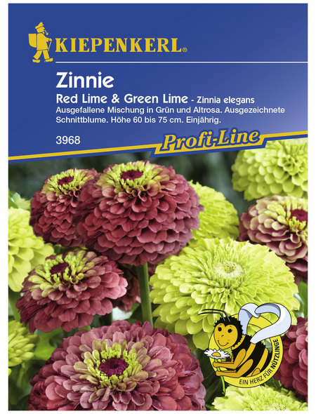 Kiepenkerl Zinnie Zinnia Angustifolia Samen Bl Te Mehrfarbig