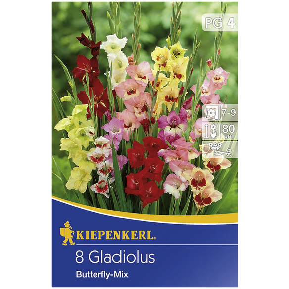 Kiepenkerl Blumenzwiebel Gladiole Gladiolus Hybrida Bl Tenfarbe Mehrfarbig Hagebau At