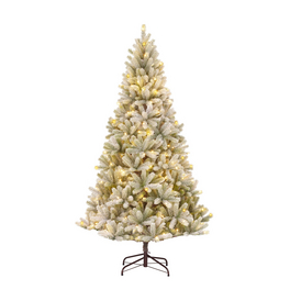 Weihnachtsbäume