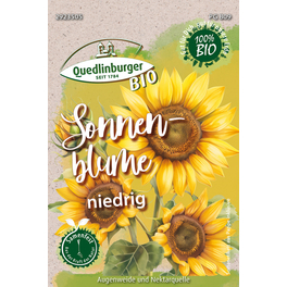 knstliche dattelpalme Kunstpflanzen | Knstliche Phnix Palme, 150 - 180 cm | Wie echt