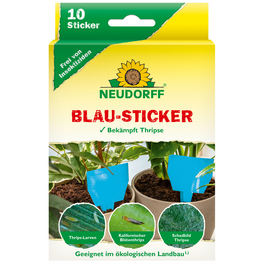 saatgut für blumenwiese Premium Wildblumensamen für eine bunte Blumenwiese