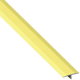 Abdeckprofil, BxHxL: 2.5 x 0.6 x 250cm, Aluminium