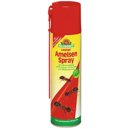 Ameisenmittel »Loxiran Ameisenspray«, Spray, 400 ml Ameisenmittel »Loxiran Ameisenspray«, Spray, 400 ml