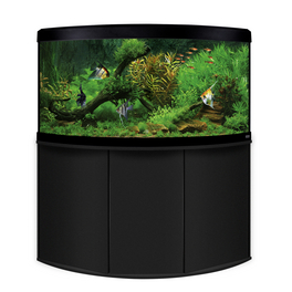Aquariumkombination »Venezia«, BxHxL: 122 x 135 x 122 cm, Floatglas, schwarz