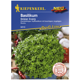 Basilikum basilicum Ocimum Basilikum basilicum Ocimum