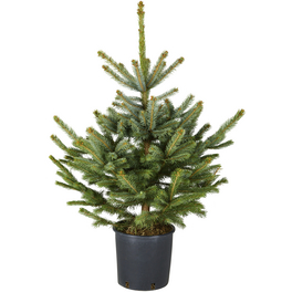 moderne deko für wohnwand Wohnzimmer mit Naturmaterialien – 15 tolle Ideen – Blog – Wilkens Wohnstudio Deko Onlineshop Naturmaterialien