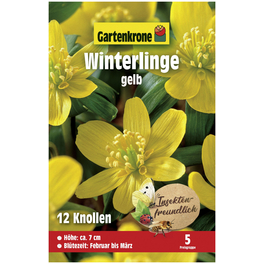 Blumenzwiebeln Winterling, Eranthis Hyemalis, Blüte: gelb