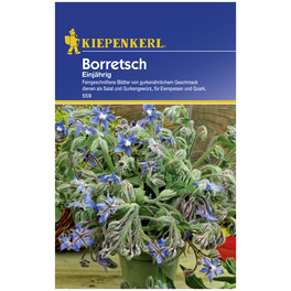 Boretsch officinalis Borago Boretsch officinalis Borago