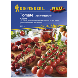 Cherry-Tomate lycopersicum Solanum »Arielle«