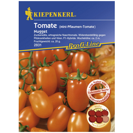 Cherry-Tomate lycopersicum Solanum »Nugget«