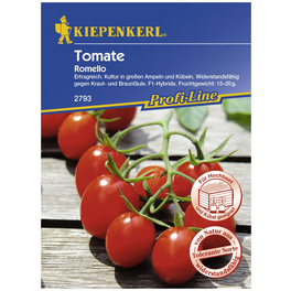 Cherry-Tomate lycopersicum Solanum »Romello«