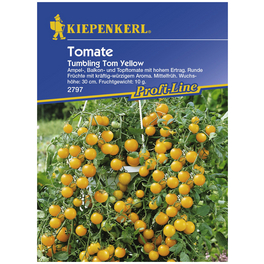 Cherry-Tomate lycopersicum Solanum »Tumbling Tom Yellow«