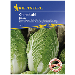 Chinakohl rapa subsp. pekinensis Brassica
