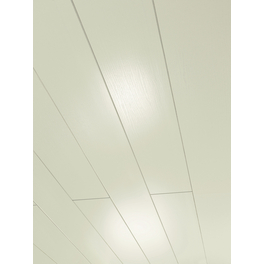 Dekorpaneele »Novara«, Eschefarben weiß glänzend geplankt, Holzwerkstoff, Stärke: 10 mm