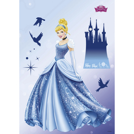 Dekosticker »Disney Princess Dream«, BxH: 50 x 70 cm