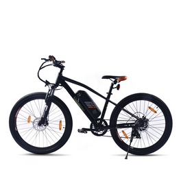 E-Bike »R6 E-Racing«, E-Mountainbike, 7-Gang, 500 Wh/13,4 Ah, schwarz-orange E-Bike »R6 E-Racing«, E-Mountainbike, 7-Gang, 500 Wh/13,4 Ah, schwarz-orange