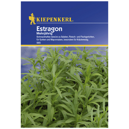 Estragon sativum Pisum Estragon sativum Pisum