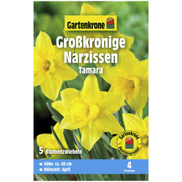 Gartenkrone Narzisse Tamara, Gelb, 5