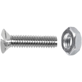 Gewindeschraube, ØxL: M2 x 10 mm, Verzinkt, 20 Stück Gewindeschraube, ØxL: M2 x 10 mm, Verzinkt, 20 Stück