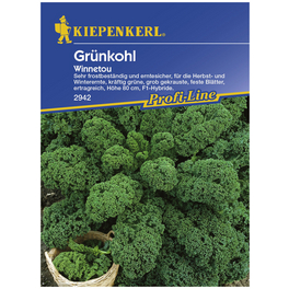 Grünkohl oleracea var. sabellica Brassica
