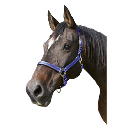 Halfter »Mustang«, passend für , Gr. 1, royalblau/schwarz