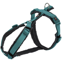 Hunde-Geschirr, S–M, Nylon, ozeanblau/graphitfarben Hunde-Geschirr, S–M, Nylon, ozeanblau/graphitfarben