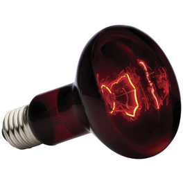 Infrarot-Heizlampe, 100W, Geeignet für: Terrarien Infrarot-Heizlampe, 100W, Geeignet für: Terrarien