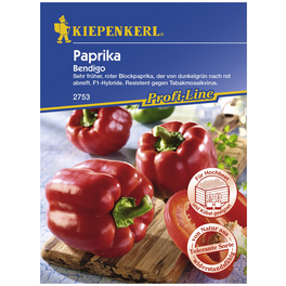 Kiepenkerl Paprika Bendigo Kiepenkerl Paprika Bendigo