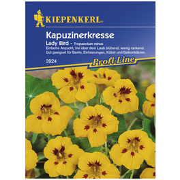 Kiepenkerl Saatgut, Kapuzinerkresse, Tropaeolum minus Ladybird, Einjährig