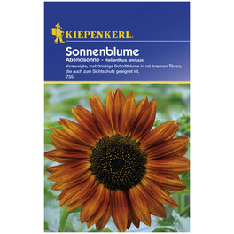 Kiepenkerl Saatgut, Sonnenblume, Helianthus annuus Abendsonne, Einjährig