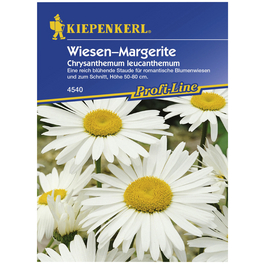 Kiepenkerl Saatgut, Wiesenmargerite, Chrysanthemum leucanth. Wiesen-Margerite, Mehrjährig Kiepenkerl Saatgut, Wiesenmargerite, Chrysanthemum leucanth. Wiesen-Margerite, Mehrjährig