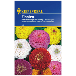 Kiepenkerl Saatgut, Zinnie, Zinnia Dahlienbl. Mix, Einjährig