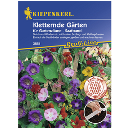 Kletternde Gärten Mix Saatb., Samen, Blüte: mehrfarbig