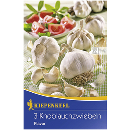 Knoblauch »Knoblauch Flavor«