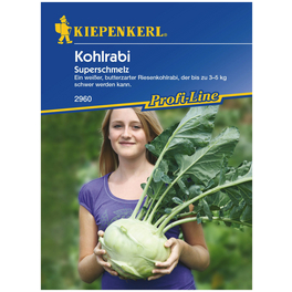 Kohlrabi Brassica oleracea var. gongylodes »Superschmelz« Kohlrabi Brassica oleracea var. gongylodes »Superschmelz«