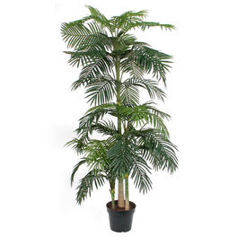 Mica Decorations Kunstpflanze, Areca Palme Golden Cane, grn - hagebau.at