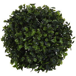 kirschlorbeer schwarze spitzen Portugiesischer Kirschlorbeer - Prunus lusitanica main image 0