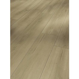 Laminat »Trendtime 6«, BxL: 243 x 2200 mm, Stärke: 9 mm, Eiche Loft Natur