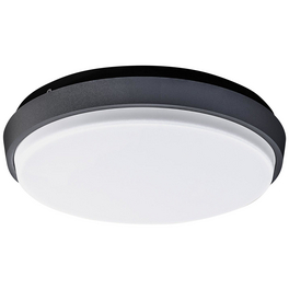 LED-Außenwandleuchte »Mio«, 10 W