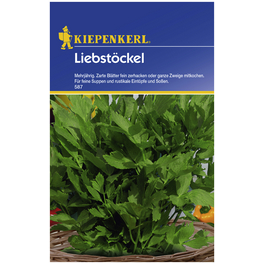 Liebstöckel officinale Levisticum Liebstöckel officinale Levisticum