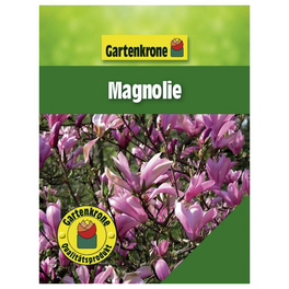 Magnolie, Magnolia »In Sorten«, Blätter: grün, Blüten: bunt