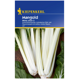 Mangold Beta vulgaris var. vulgaris »White Silver 2«