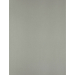 Möbelbauplatte, BxHxL: 200 x 19 x 2600 mm, silberfarben