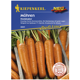 Möhre carota Daucus Möhre carota Daucus