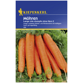 Möhre carota ssp. sativus Daucus Möhre carota ssp. sativus Daucus