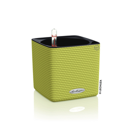 Pflanzgefäß »CUBE«, BxH: 43 x 13,5 cm, quadratisch, Kunststoff Pflanzgefäß »CUBE«, BxH: 43 x 13,5 cm, quadratisch, Kunststoff