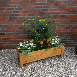 Pflanzkasten, BxH: 118 x 34 cm, honig, Kiefernholz