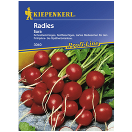Radieschen sativus var. sativus Raphanus »Raphanus sativus var. sativus« Radieschen sativus var. sativus Raphanus »Raphanus sativus var. sativus«