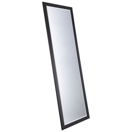 Rahmenspiegel, BxH: 47 x 147 cm, rechteckig