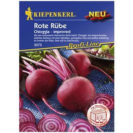 Rote Bete vulgaris Beta »L. var. Conditiva Alef.« Rote Bete vulgaris Beta »L. var. Conditiva Alef.«